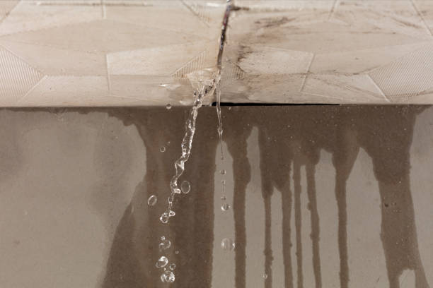 Professional Water Damage Repair technician working in Weldon, CA